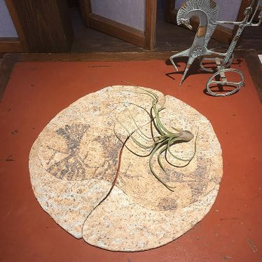 炭化錆彩 プレート皿 壁画シリーズ